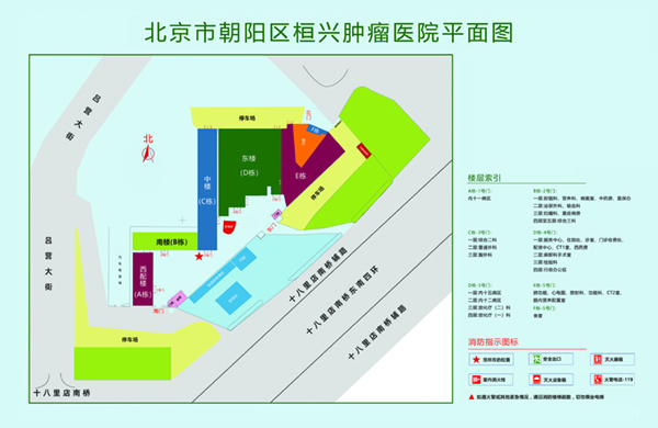 男人鸡把进女人逼视频北京市朝阳区桓兴肿瘤医院平面图